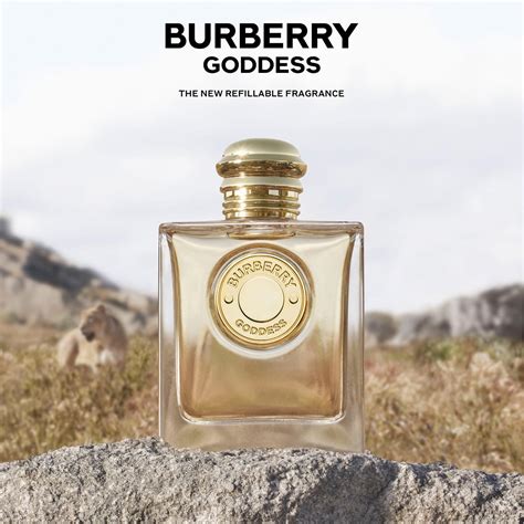 burberry goddeaa|burberry goddess for men.